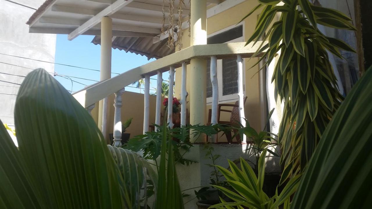 Turtle Reef Guest Bed & Breakfast Mirissa Ngoại thất bức ảnh