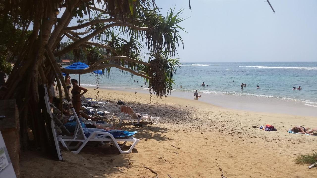Turtle Reef Guest Bed & Breakfast Mirissa Ngoại thất bức ảnh